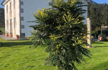 O Rincón de Mercedes - Foto 40