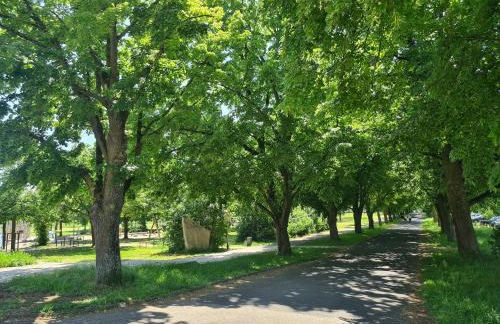 Annas Nest - Foto 34