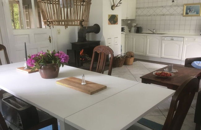 Nice Apartment in Hesse With Relaxation Area - Foto 12