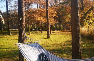 Kajaki wino i śpiew - domek z sauną w otoczeniu lasów i sąsiedztwie zalewu - Foto 18