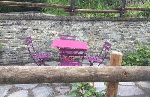 Le petit Saint Bernard - Photo 21