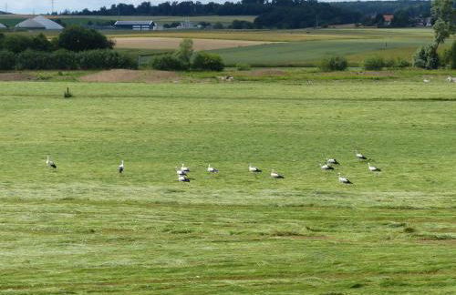 Komfort Ferienwohnung Wolfhagen - Foto 19
