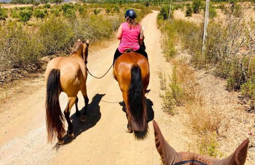 Canto da Planície - Foto 75