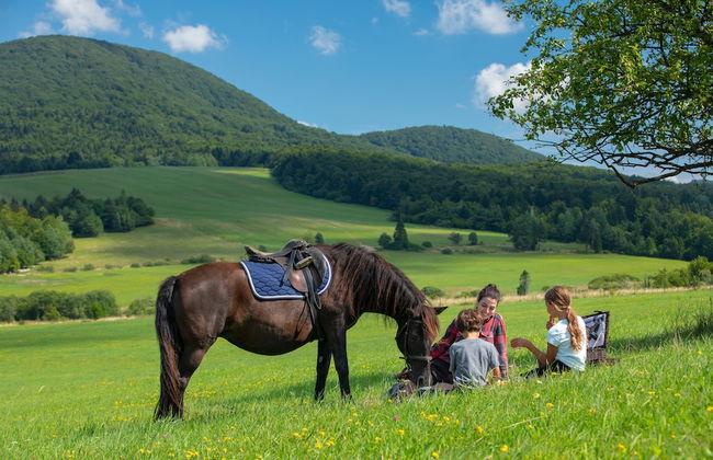 Końska Dolina - Photo 50