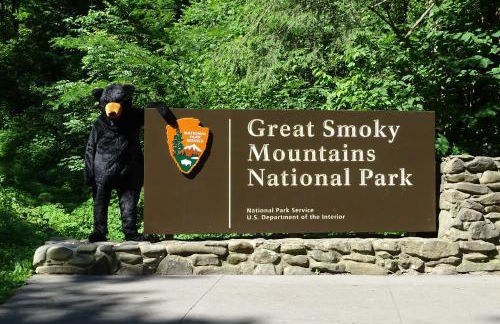 Smoky Bear Splash Top Rated Private Pool Cabin with Hot Tub, Mtn Views, Arcade Games, Excellent Location - Foto 52