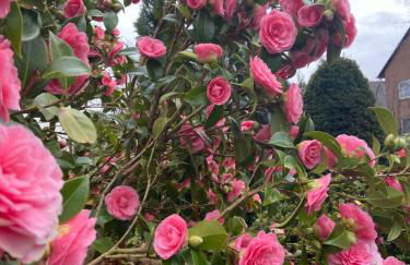 Ferienhaus Anni - Foto 40