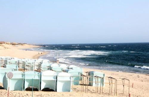 MindeloThePalm - Foto 33