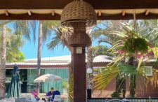 Chácara do Haras - Photo 35