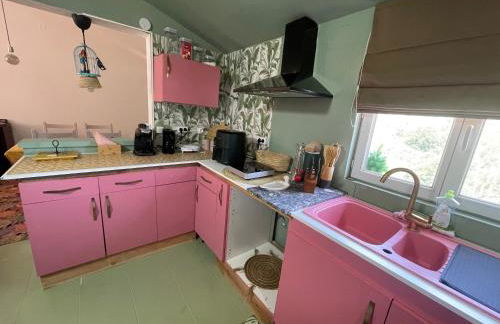 Maison n2 Donasete T1 - Foto 46