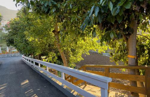 Finca Pico - Foto 51