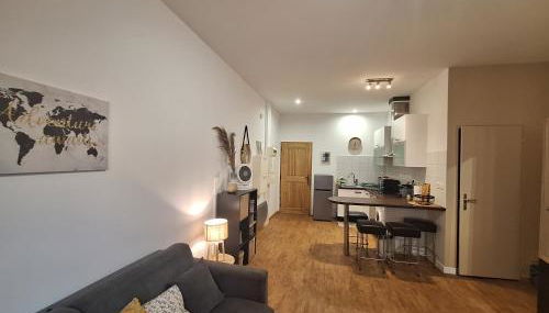 Studio élégant rénové, cœur piéton Evian - Foto 4