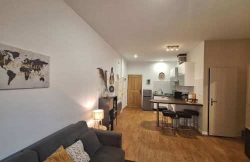 Studio élégant rénové, cœur piéton Evian - Foto 4