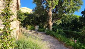 Villa Argonaute - Photo 4, Garden, Garden view