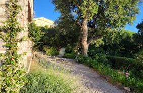 Villa Argonaute - Photo 4