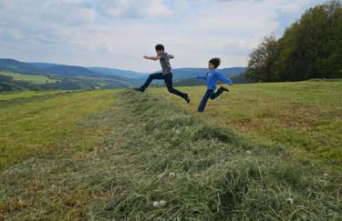 Natur und Wellness ''auf der Hardt'' -Jacuzzi- Sauna- Kinderausstattung- Alleinlage im Wald - Foto 47