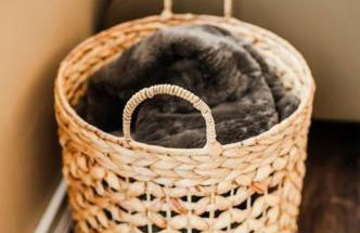 Modern Home of Style & Comfort! - Foto 2