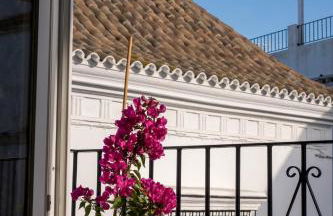 El Sur Medina-Sidonia - Foto 7