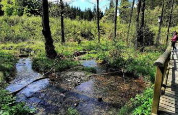 Ferienwohnung Panoramablick Postwiese - Foto 22