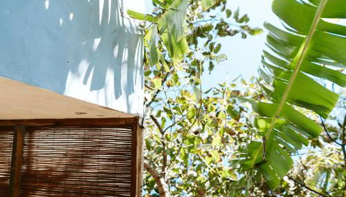 Tortuga blue house in banana plantation - Foto 2, Garden view