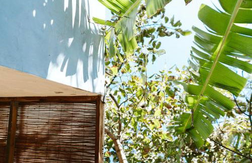 Tortuga blue house in banana plantation - Foto 2