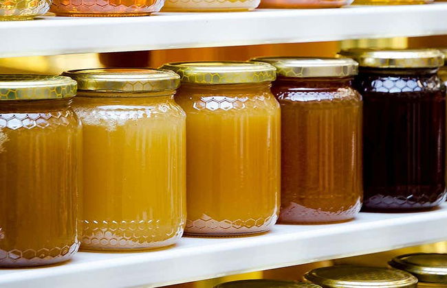 Visita a una bodega de miel - Foto 6