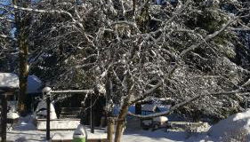 Wanderhütte Zum Bernhardsthal - Foto 4, Garden