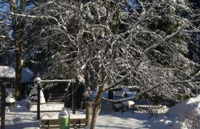 Wanderhütte Zum Bernhardsthal - Foto 4