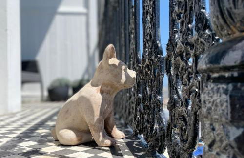 The Regency Studio - Stunning Seaview - Foto 20