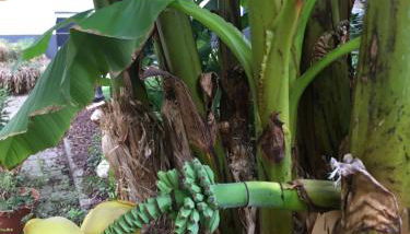 Haus Gisela - Foto 5