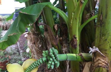 Haus Gisela - Foto 5