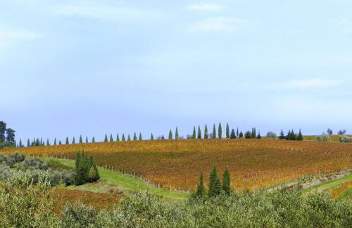 Podere Vignola - Foto 39