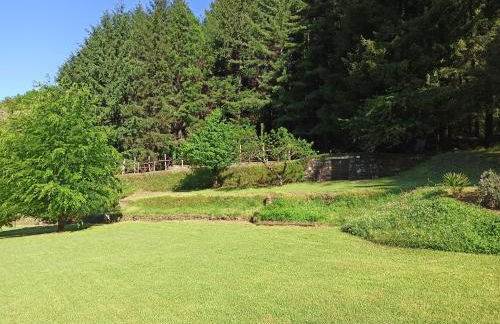 IL Bosco di Campo Marzano Sunlight - Foto 8