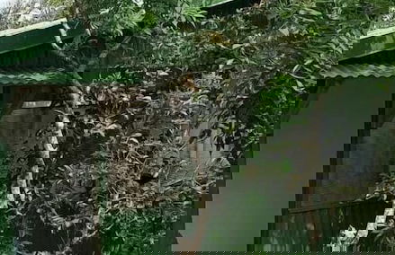 Rincón De Gaetano - Photo 24