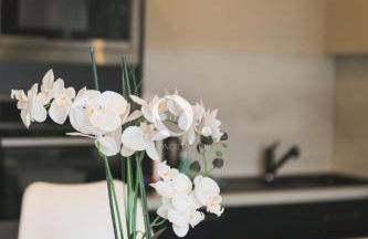 COC - L'Entre Deux Caps - Foto 7