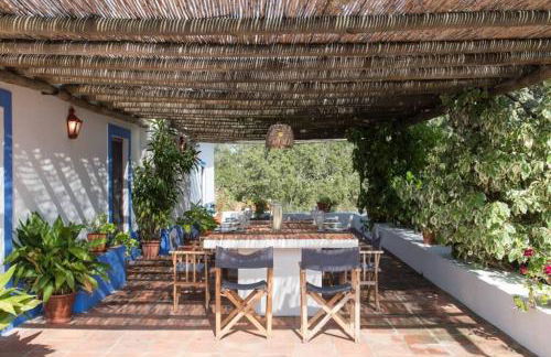 MONTE DO CORTIÇO - Foto 30