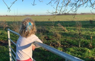 Oak Cottage at Gravel Farm - Photo 23