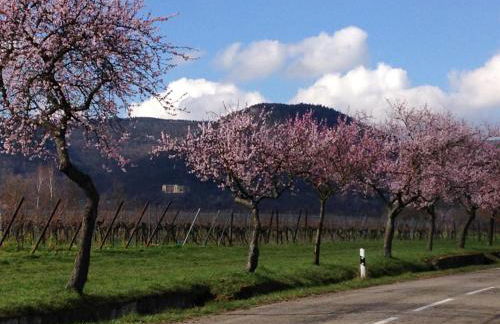 HALBSTÜCK - Ferienwohnungen am Kropsbachpark - Foto 19
