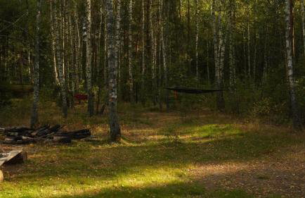 Biały Las Magiczna Stara Chata Puszcza Białowieska - Foto 55