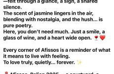 AFISSOS-DREAM 3STUDIOS - Photo 11