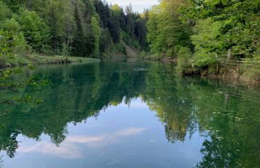 Ferienwohnung "Am Mittag" - Foto 22