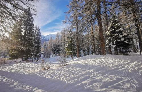 Exceptionnel - En bordure de pistes et skis aux pieds - PELVOUX II - VARS - Foto 19