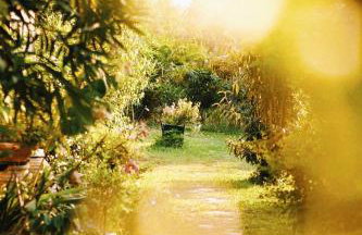 The Artist's Farm - Foto 19