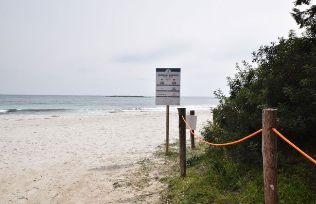 Casa Rosada - Photo 16