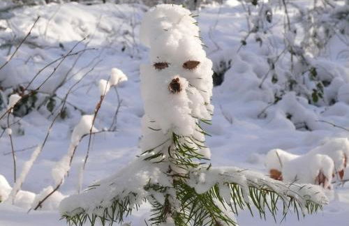 Ferienwohnung Zentrum Buxtehude - Photo 62