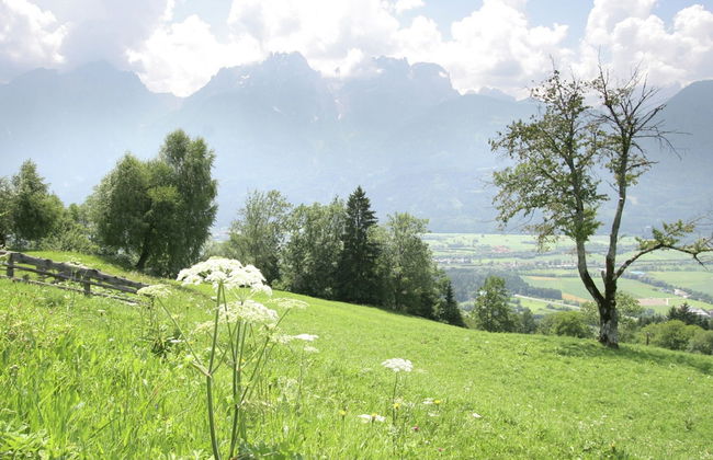 Chalet in Iselsberg Stronach With a View of the Dolomites - Foto 17