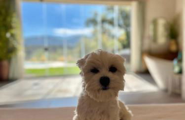 Cigarral Bramasole - Foto 25