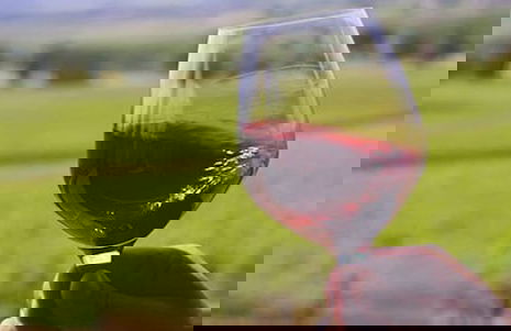 Agriturismo Tiberio - Foto 22