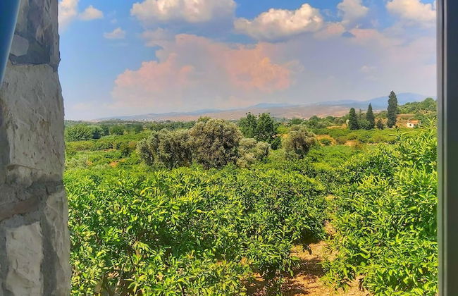 Satsuma Butik Otel - Foto 12