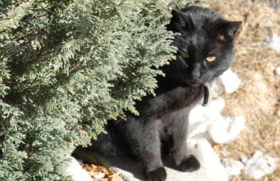 Biohof Hamann - Foto 18