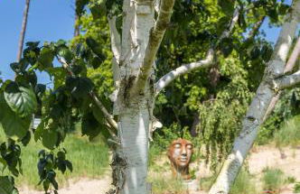 Villa Schmidt Apartments - Strandhaus direkt am Meer mit Sauna, Sport und Dünengarten - Klassik - Foto 25